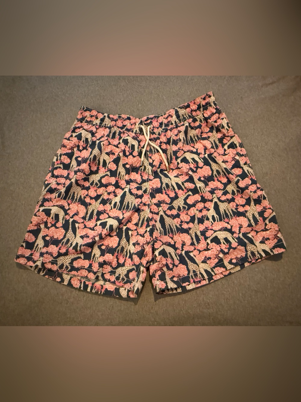 Allen Edmonds Navy with Giraffes and Pink Floral Swim Shorts